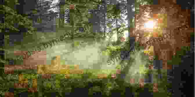 A Photo Of A Man Walking Through A Forest, With Sunlight Streaming Through The Trees. Fresh Woods And Pastures New