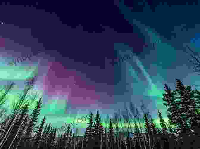 Brilliant Green And Purple Aurora Borealis Dancing Across The Night Sky Over A Snow Covered Landscape. The Wild Side Of Alaska