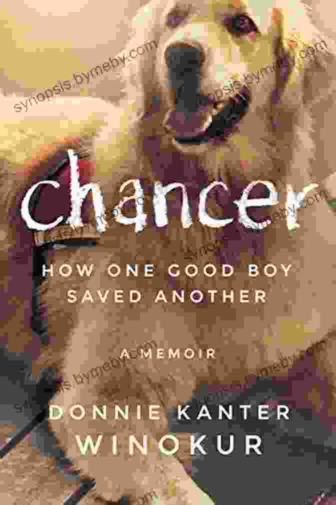 Chancer: How One Good Boy Saved Another By Sue Balfour And Frankie T. Chancer: How One Good Boy Saved Another