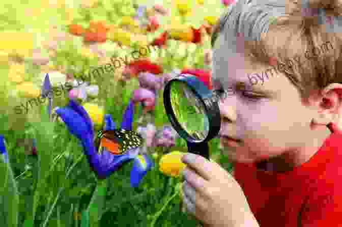 Edward Wilson As A Young Boy, Exploring The Natural World Naturalist: A Graphic Adaptation Edward O Wilson