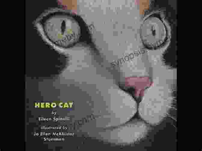 Eileen Spinelli, A Brave And Inspiring Hero Cat Hero Cat Eileen Spinelli