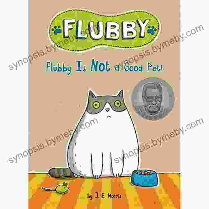 Flubby The Cat Flubby Is Not A Good Pet