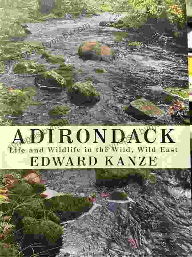 Life And Wildlife In The Wild Wild East Excelsior Editions A Journey Through The Untamed Beauty Of The Far East Adirondack: Life And Wildlife In The Wild Wild East (Excelsior Editions)