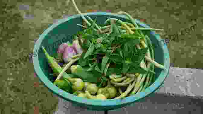 Organic Vegetables And Herbs Freshly Harvested From A Garden The Florida Cracker Cookbook: Recipes Stories From Cabin To Condo (American Palate)