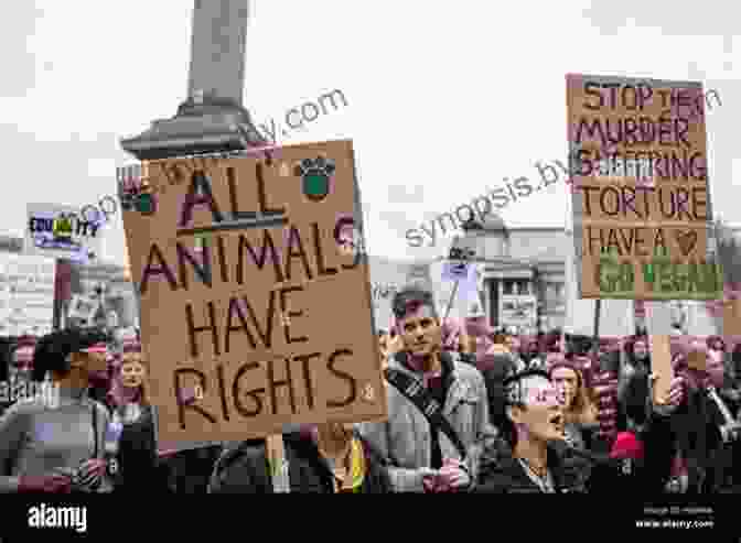 Timmy The Turtle, An Advocate For Animal Rights The Turtle Who Fights For Animal Rights (Animal Rights For Children)