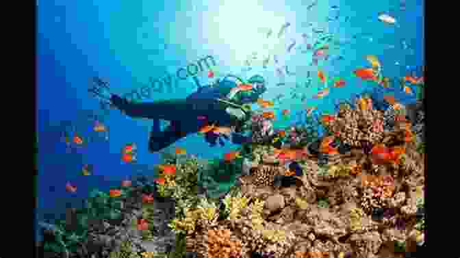 Vibrant Underwater Scene With Scuba Divers Exploring Vibrant Coral Reefs And Marine Life SCUBA DIVING FOR COMPLETE BEGINNERS: Ultimate Guide To Scuba Diving Types Equipment Tips Techniques And Safety