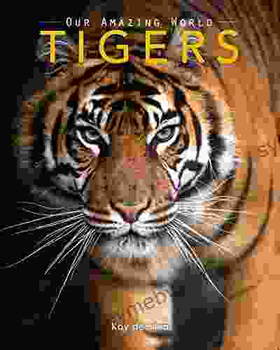 Tigers: Amazing Pictures Fun Facts On Animals In Nature (Our Amazing World 10)