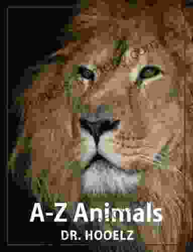 A Z Animals (Amazing Flash Cards 18)