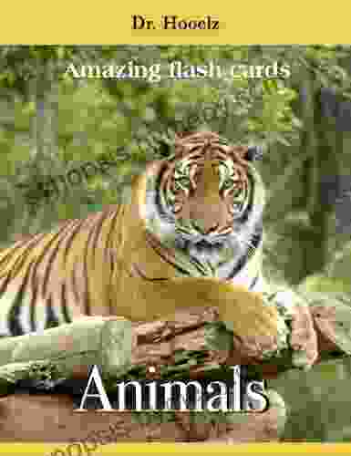 Animals Flash Cards (Amazing Flash Cards 1)