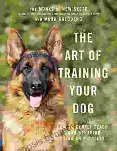 The Art of Training Your Dog: How to Gently Teach Good Behavior Using an E Collar