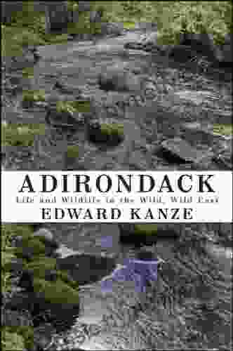 Adirondack: Life and Wildlife in the Wild Wild East (Excelsior Editions)