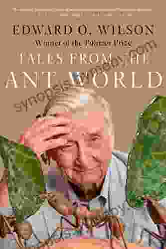 Tales From The Ant World