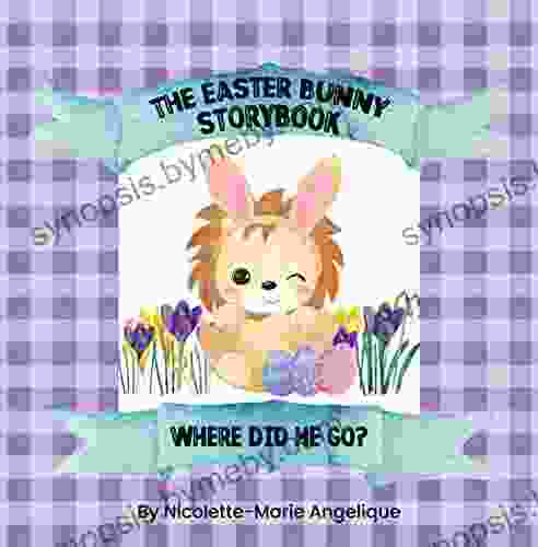 The Easter Bunny Storybook Where Did He Go?