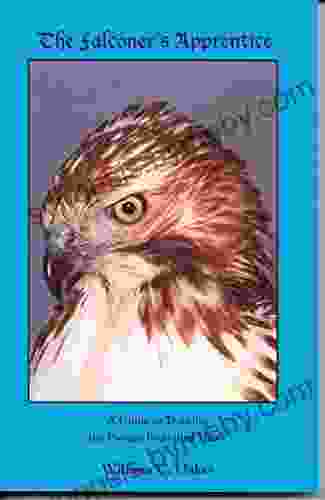 The Falconer S Apprentice: A Guide To Training The Passage Red Tailed Hawk (The Falconer S Apprentice 1)