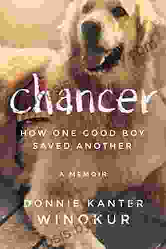 Chancer: How One Good Boy Saved Another